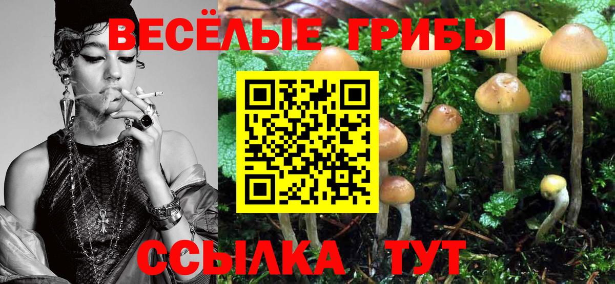 Галлюциногенные грибы мухоморы Морозовск