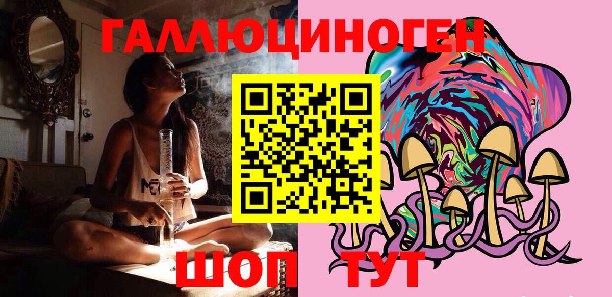 Галлюциногенные грибы Psilocybine cubensis Морозовск